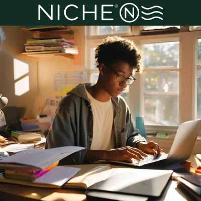 Niche No Essay Scholarship